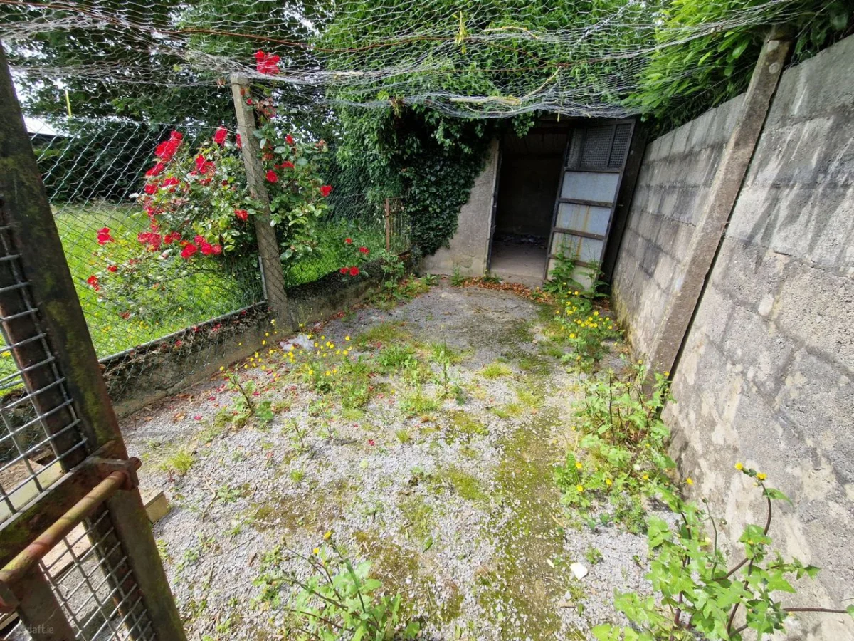 2 Carrigeen, Croom, Croom, Co. Limerick - Image 19